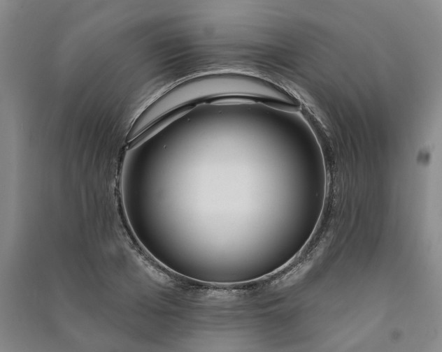 X0000090950985200708161752