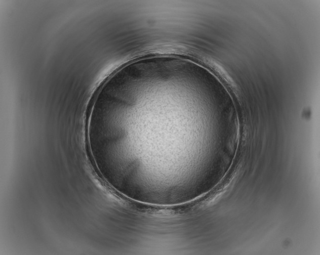 X0000090950986200708161752