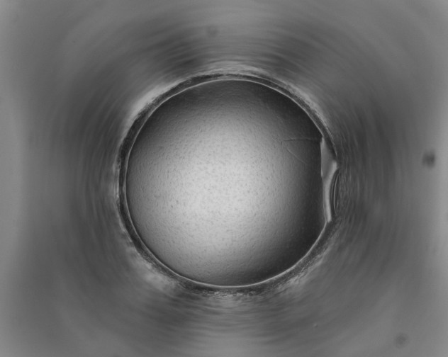 X0000090950987200708161752