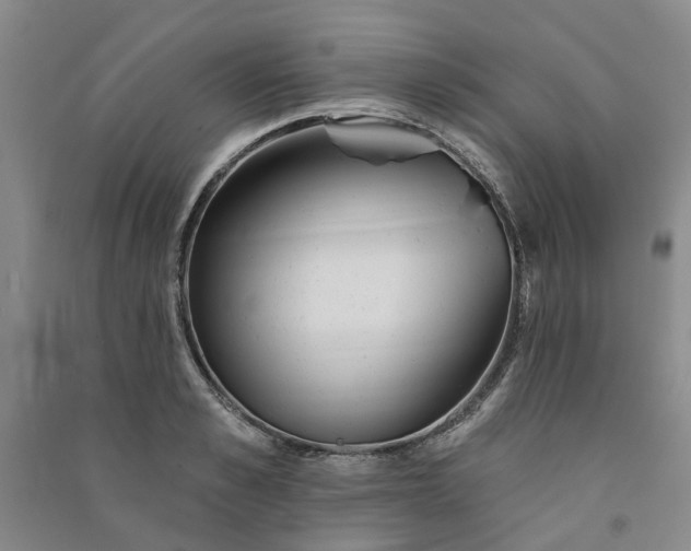 X0000090950989200708161752