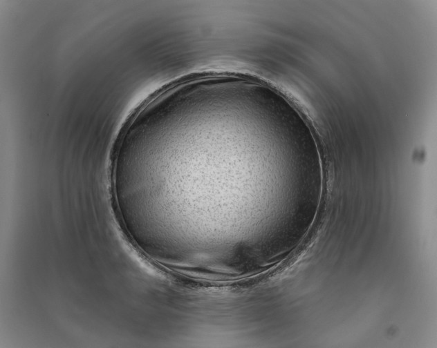 X0000090950990200708161752