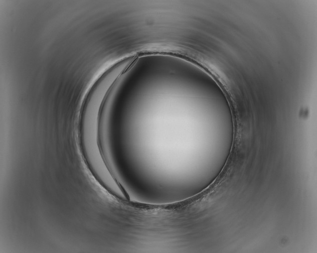 X0000090950992200708161752