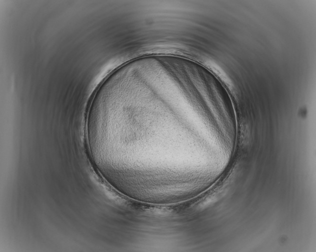 X0000090950994200708161752