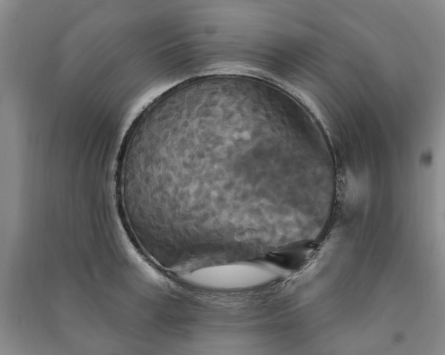 X0000090950995200708161752