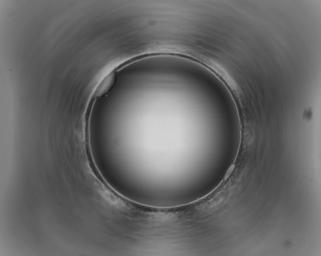 X0000090950996200708161752