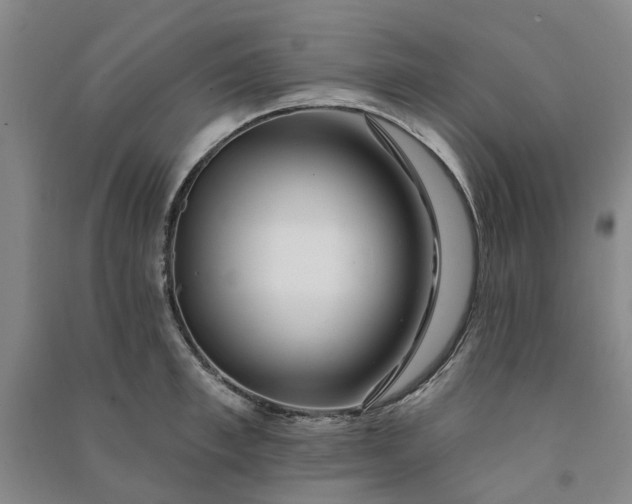 X0000090950997200708161752