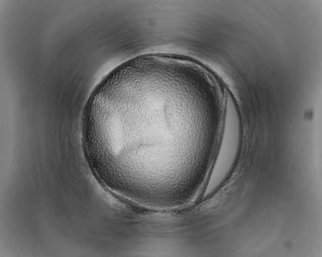 X0000090950998200708161752