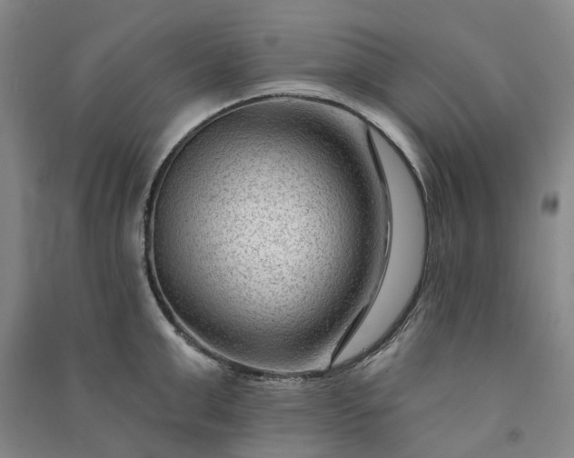 X0000090950999200708161752