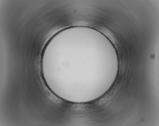 X0000090951000200708161752