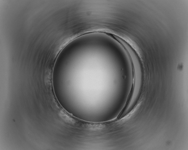 X0000090951001200708161752