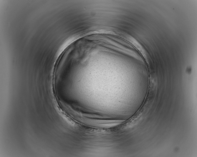 X0000090951002200708161752