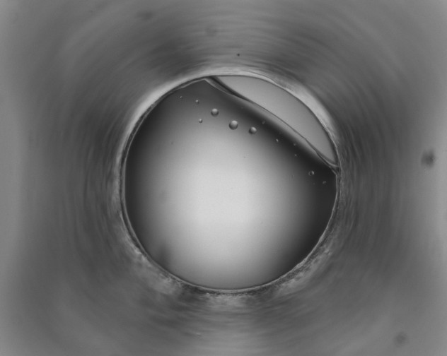 X0000090951004200708161752