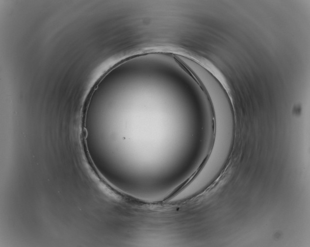 X0000090951005200708161752