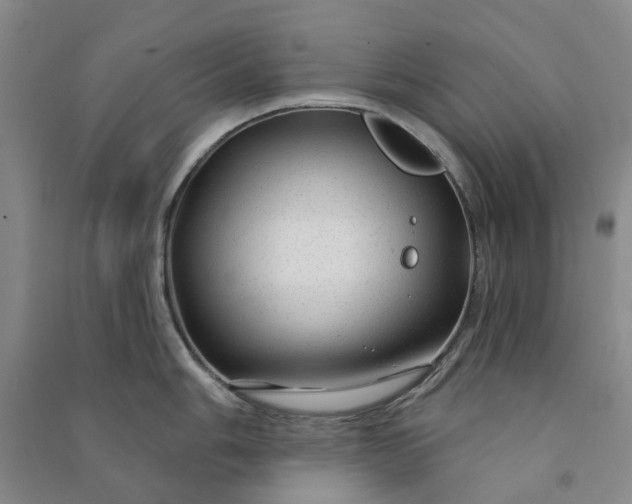 X0000090951006200708161752