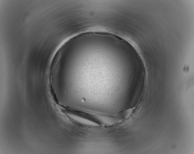 X0000090951008200708161752