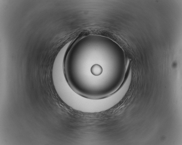 X0000090951010200708161751