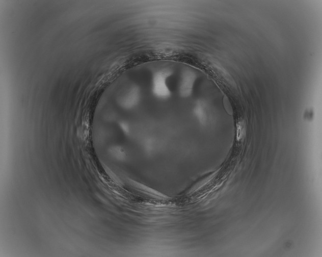 X0000090951011200708161751