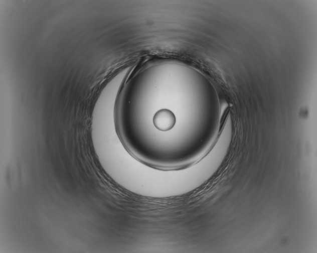 X0000090951012200708161751