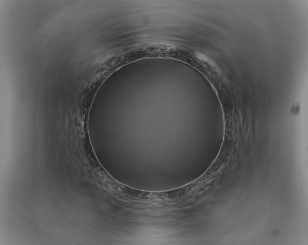 X0000090951013200708161752