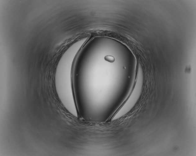 X0000090951014200708161752
