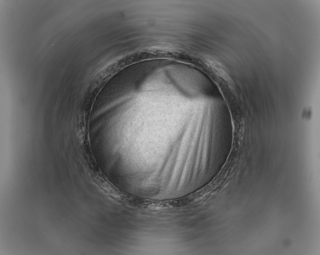 X0000090951015200708161752