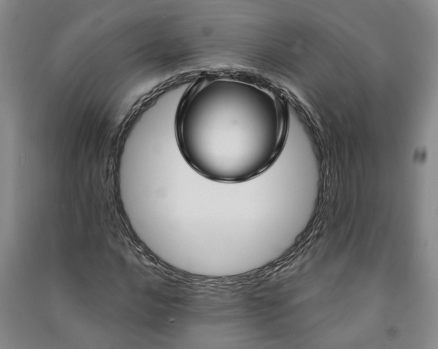 X0000090951016200708161752