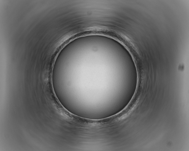 X0000090951017200708161752