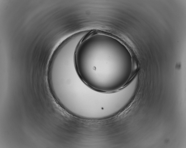 X0000090951020200708161752