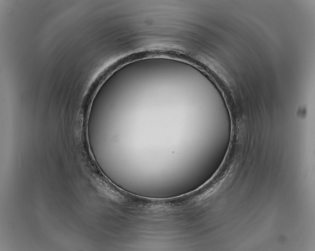 X0000090951021200708161752