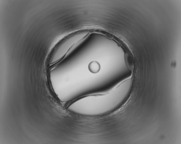 X0000090951022200708161752