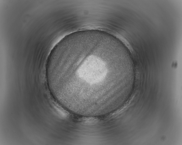 X0000090951023200708161752