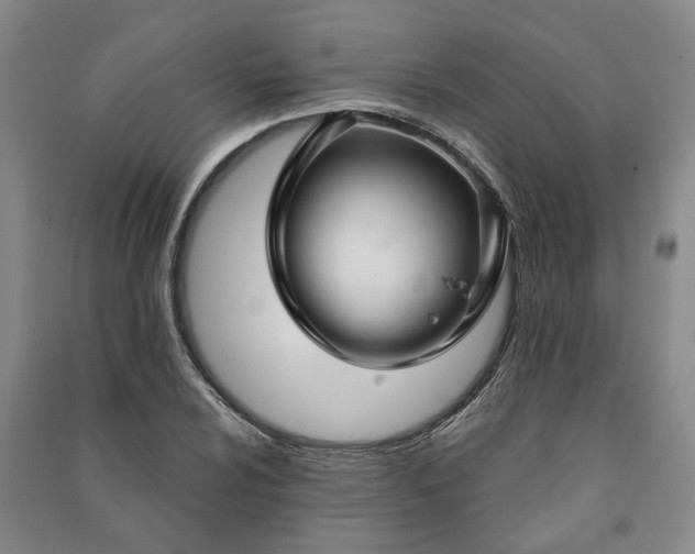 X0000090951024200708161752
