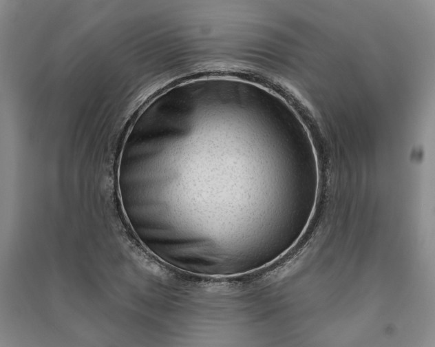 X0000090951025200708161752