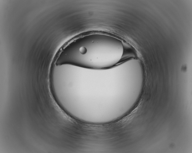 X0000090951028200708161752