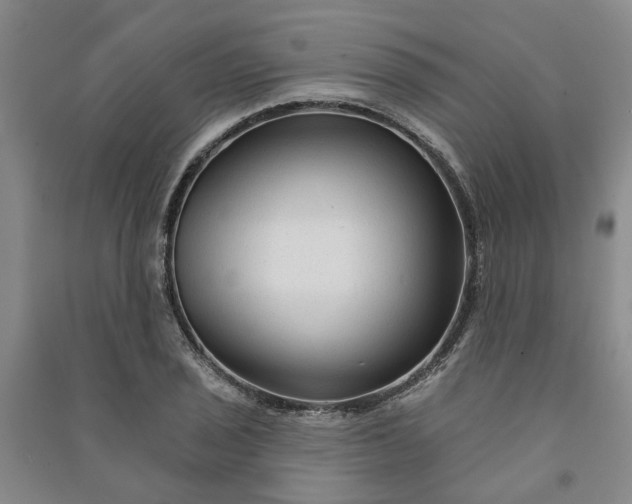 X0000090951029200708161752