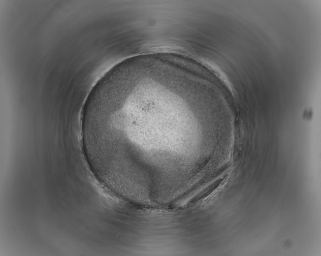X0000090951031200708161752