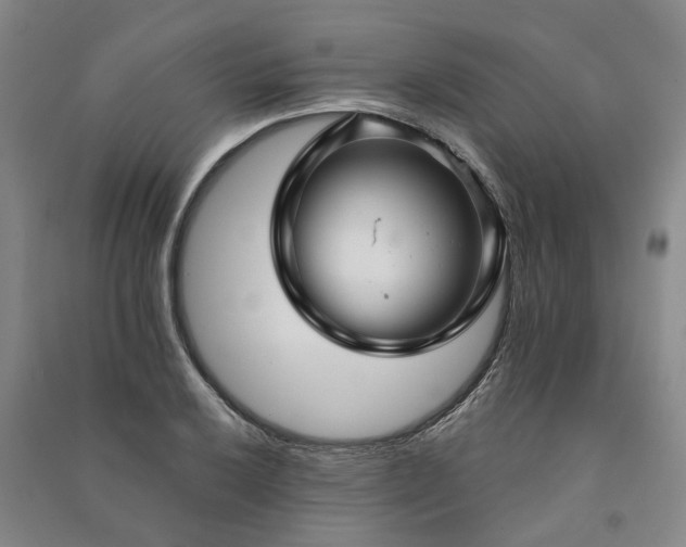 X0000090951032200708161752