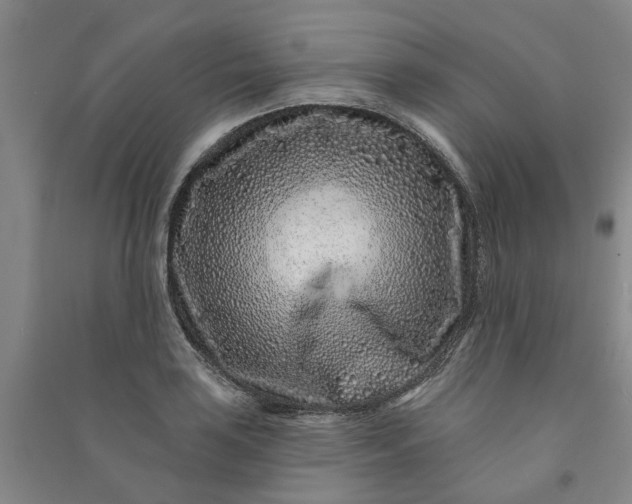 X0000090951035200708161752