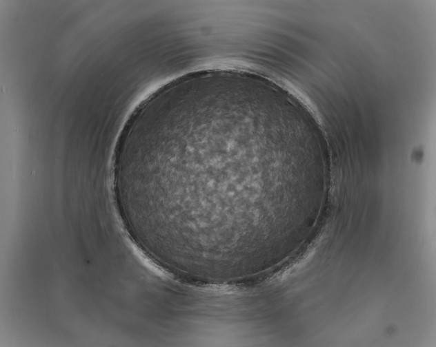 X0000090951037200708161752