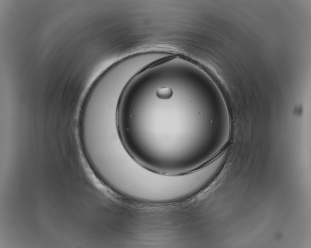 X0000090951038200708161752