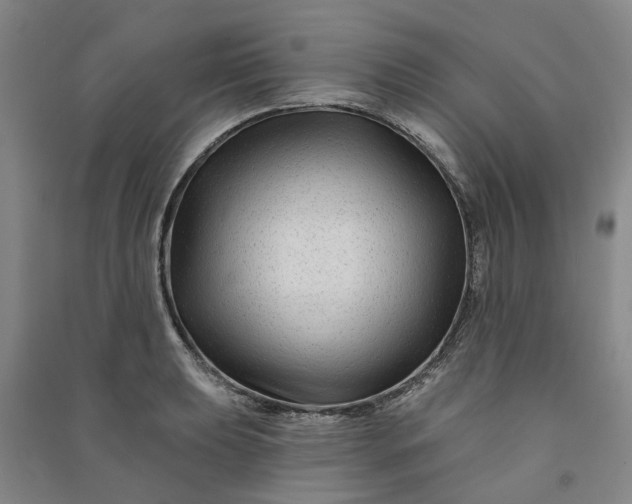 X0000090951039200708161752