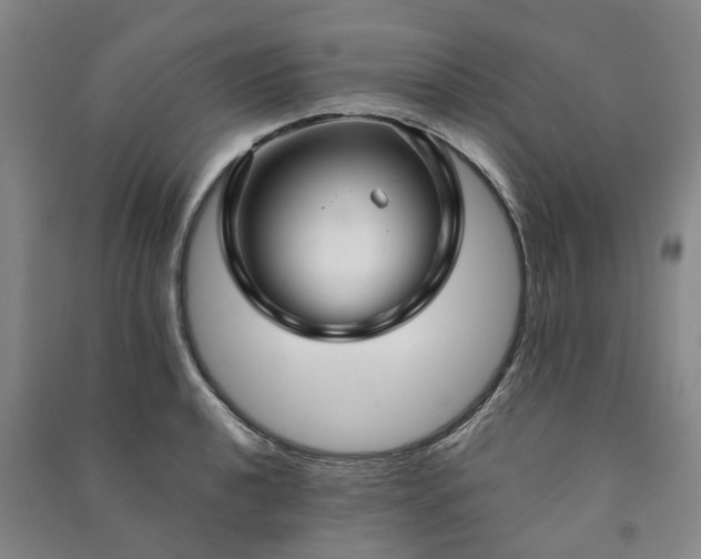 X0000090951040200708161752