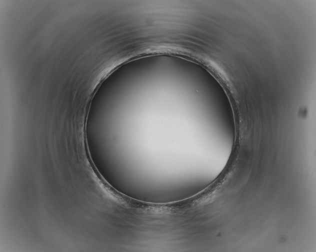 X0000090951041200708161752