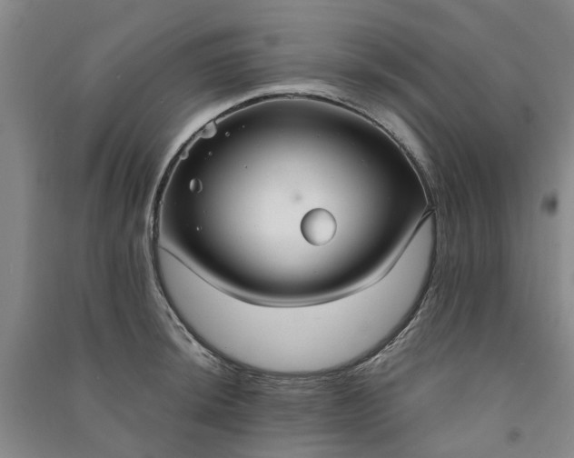 X0000090951044200708161752
