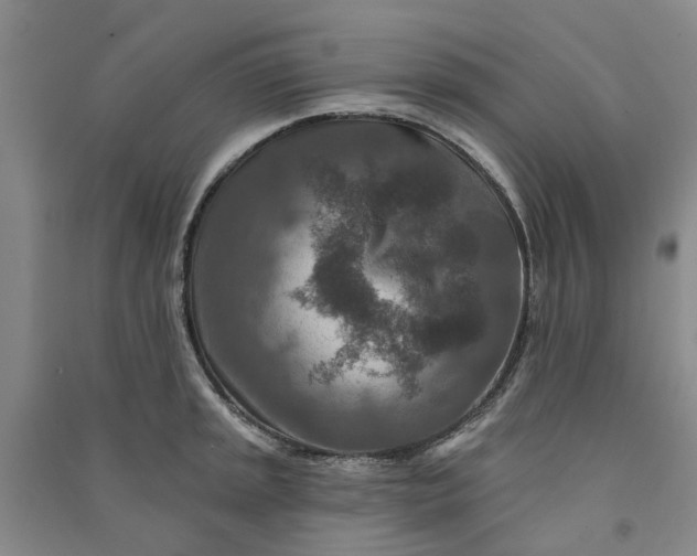 X0000090951045200708161752
