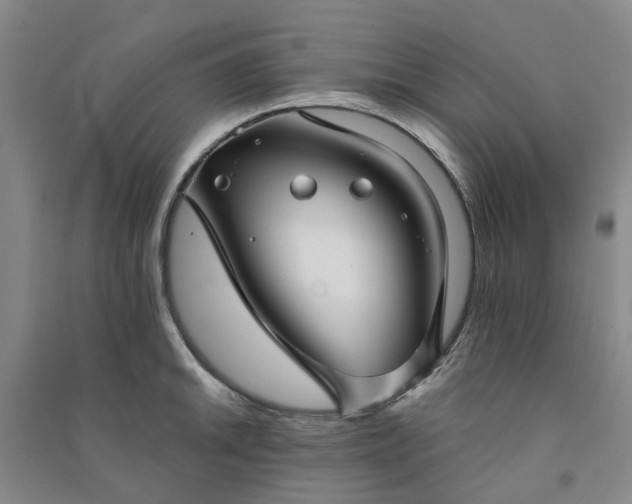 X0000090951046200708161752