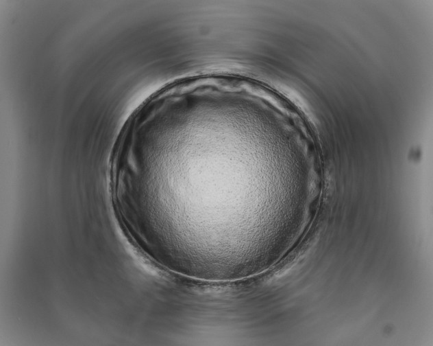 X0000090951047200708161752