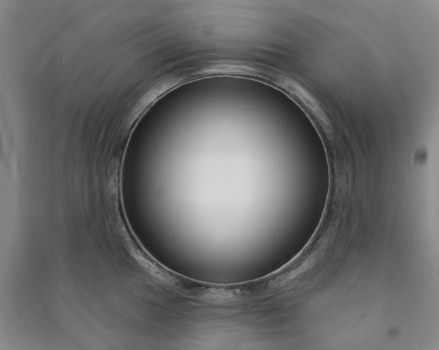 X0000090951049200708161752