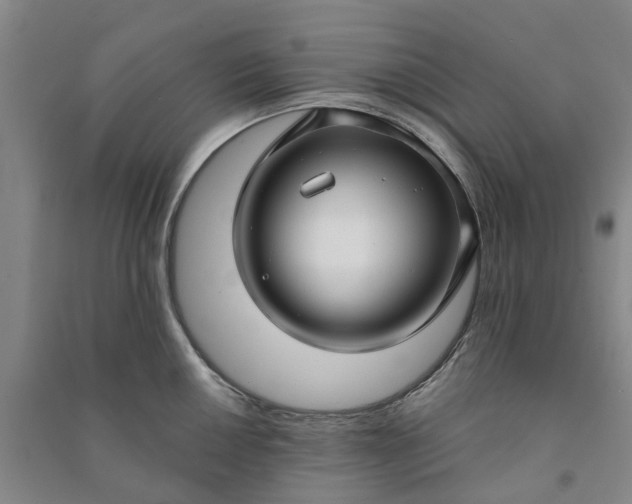 X0000090951050200708161752