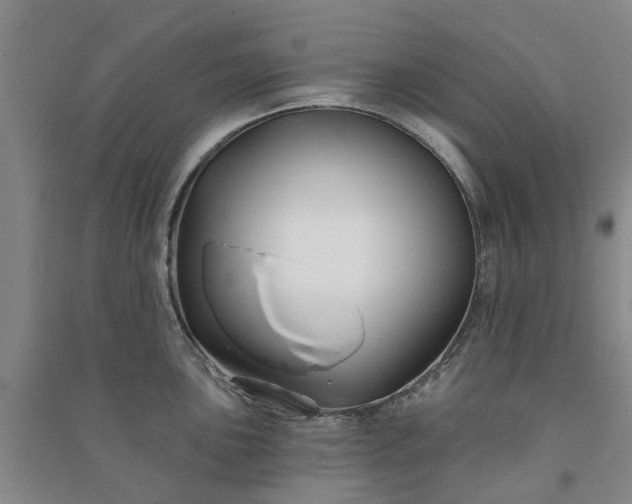 X0000090951051200708161752